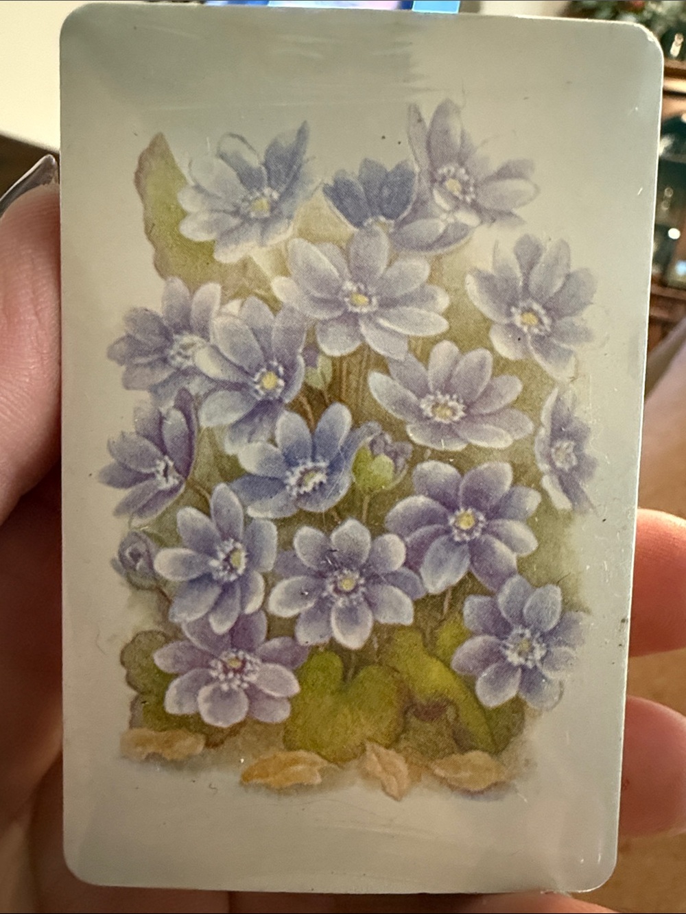 Vintage Floral cards - new old stock